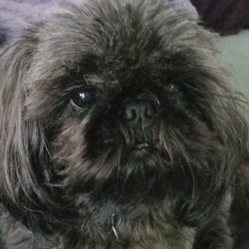 Follower of megxit channels reporting on the dastardly Sussex duo. Moved here once 2 channels were canceled by YouTube! ...