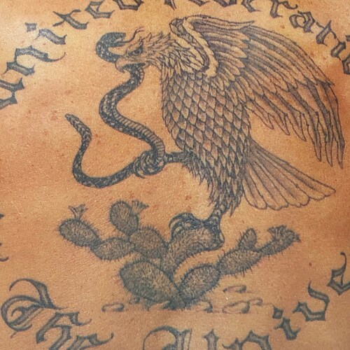 Assurance professional with 20+ years of experience in full spectrum risk management&control.