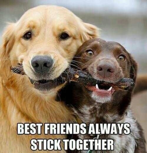 Best friends stick together 🥹😊😉🤍🤍🤍