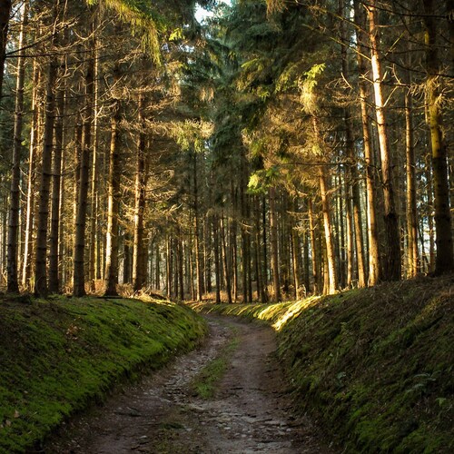 Visit swaw10416's profile on GETTR. View their posts, photos, videos, and connect with them on the social platform.