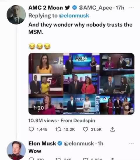 Elon msm