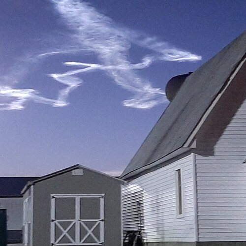 Father, Husband. Army War Vet. Believer in the lost art of Thinking for yourself.