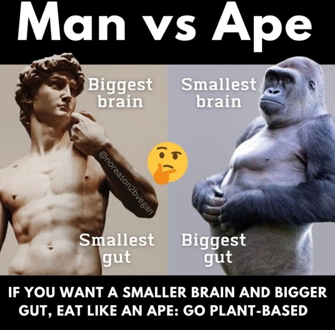 #carnivore #carnivorediet #carnivorelifestyle 
 😅😅👍