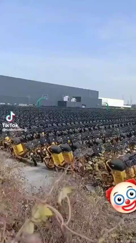 What happens when Electric scooters run out of battery life ? Batteries expensive to replace so gues...