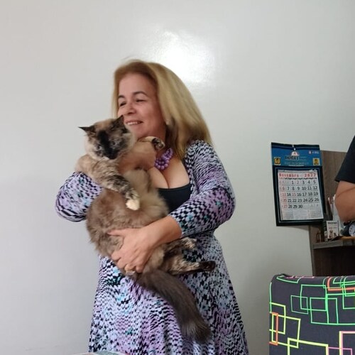 Professora conservadora , Patriota e Bolsonarista 🇧🇷🇧🇷🇧🇷🇧🇷🇧🇷🙏🙏🇧🇷🙏