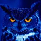 Big_Owl_Dream