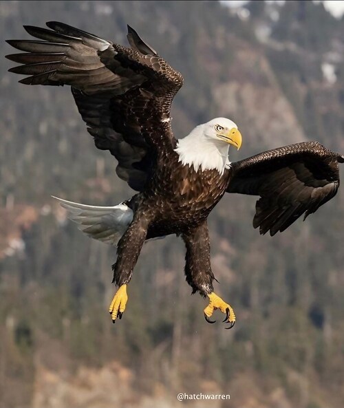 Visit São Paulo's profile on GETTR. View their posts, photos, videos, and connect with them on the social platform.