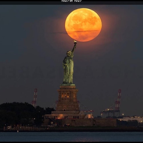 Patriot, cat lover and bird watcher.