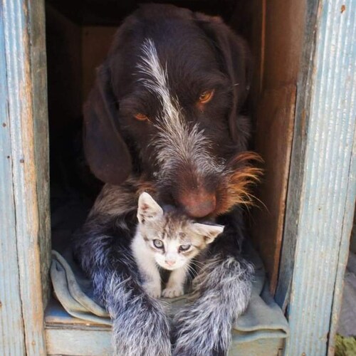 一切已經開始
戰