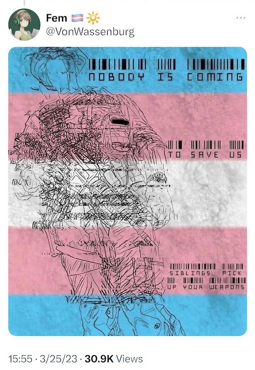 Trans community activist posted this 2 days ago