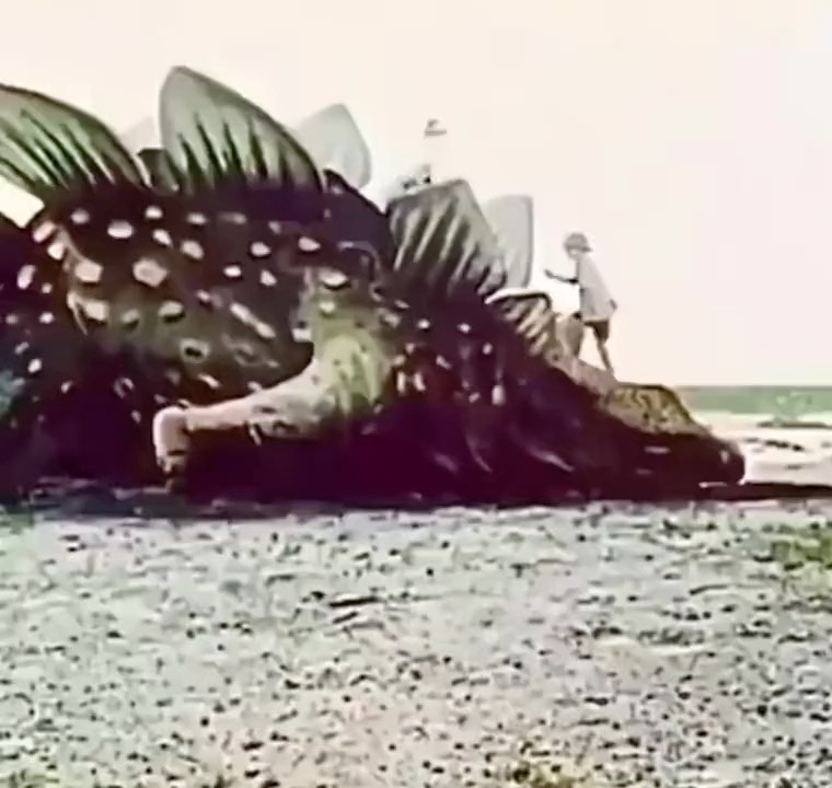 In the past, the techniques employed to create special effects are of interest.