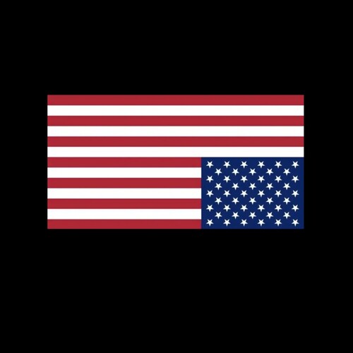 Freedom is not free
I will only fight for what matters.
Truth Justice and the Constitution of the United States of America 
My love is for my wife and my FLAG