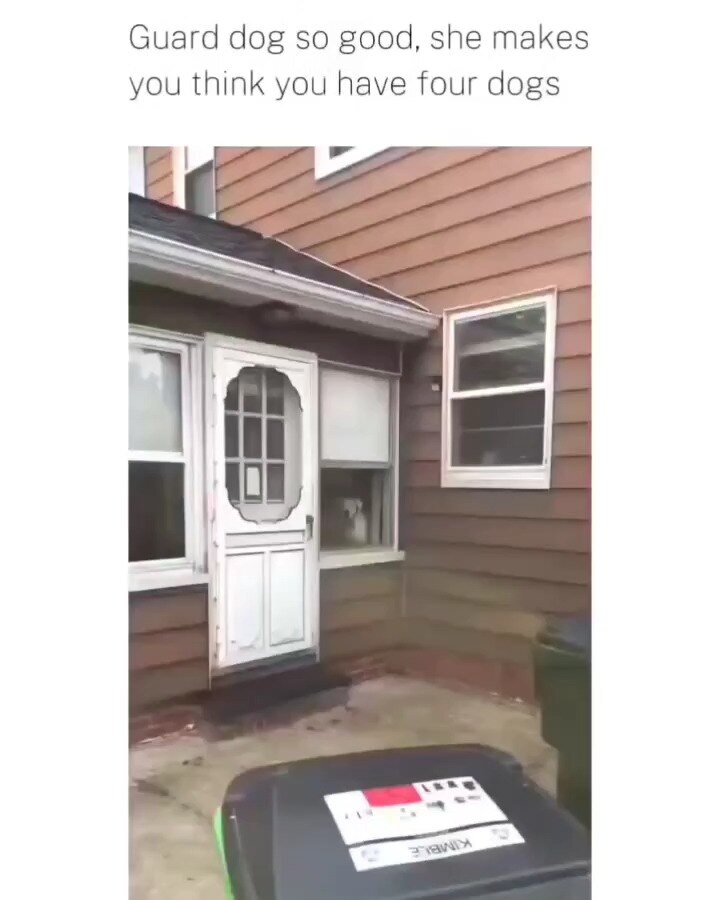 View ☦️🦁⚔ 🆃🆁🅴🅱 ⚔🩸's post on GETTR. Join the discussion, share your thoughts, and connect with the community.