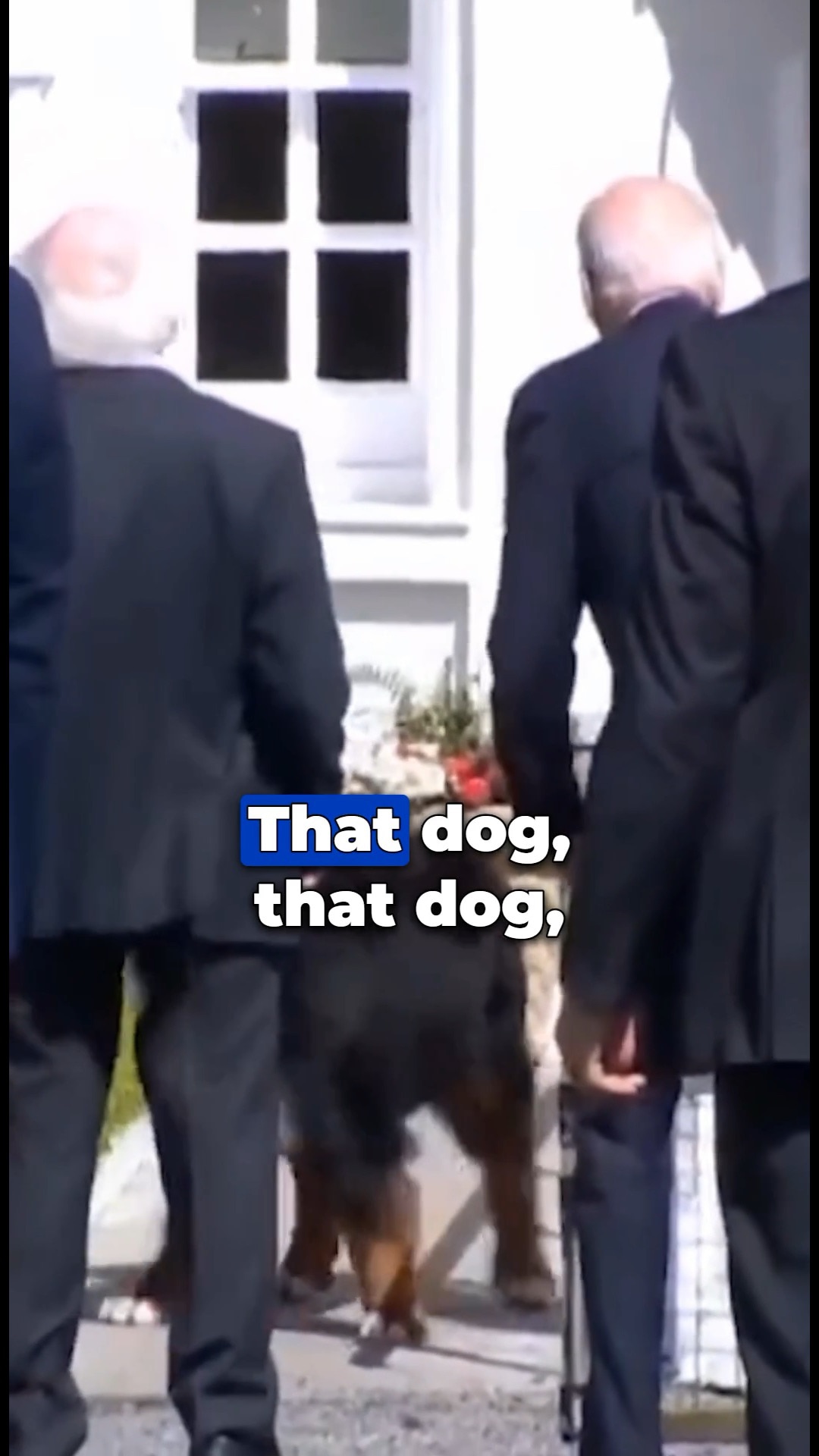 Always trust the DOG. 