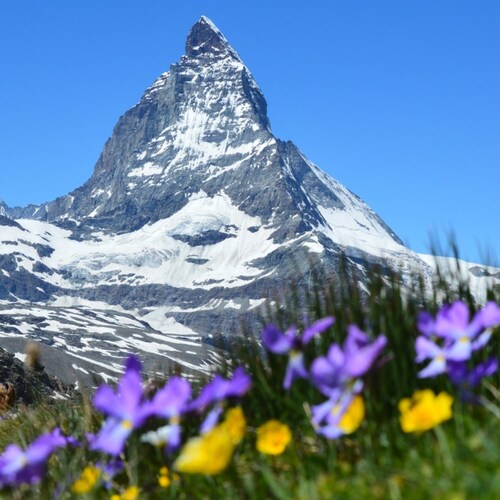 Visit TimetoAct's profile on GETTR. View their posts, photos, videos, and connect with them on the social platform.