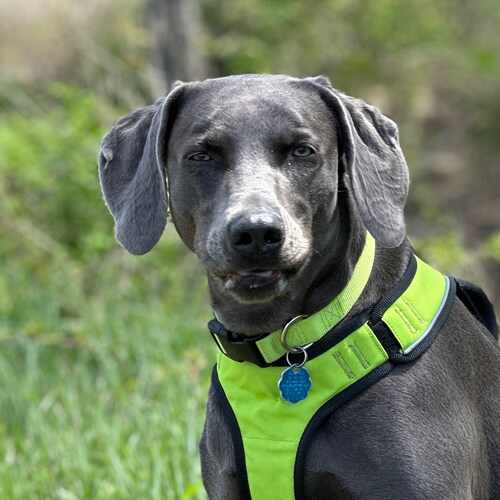 freedom loving patriot waiting for the remnant to arise
Jim Banks for Senator