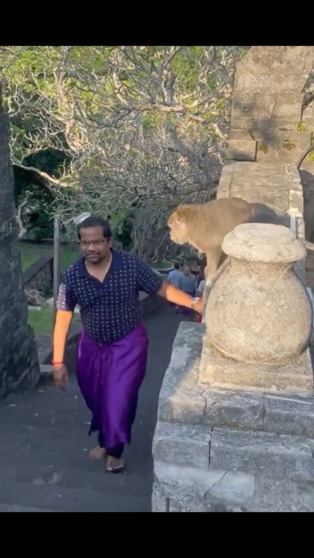 Sir, your wife is very smart.