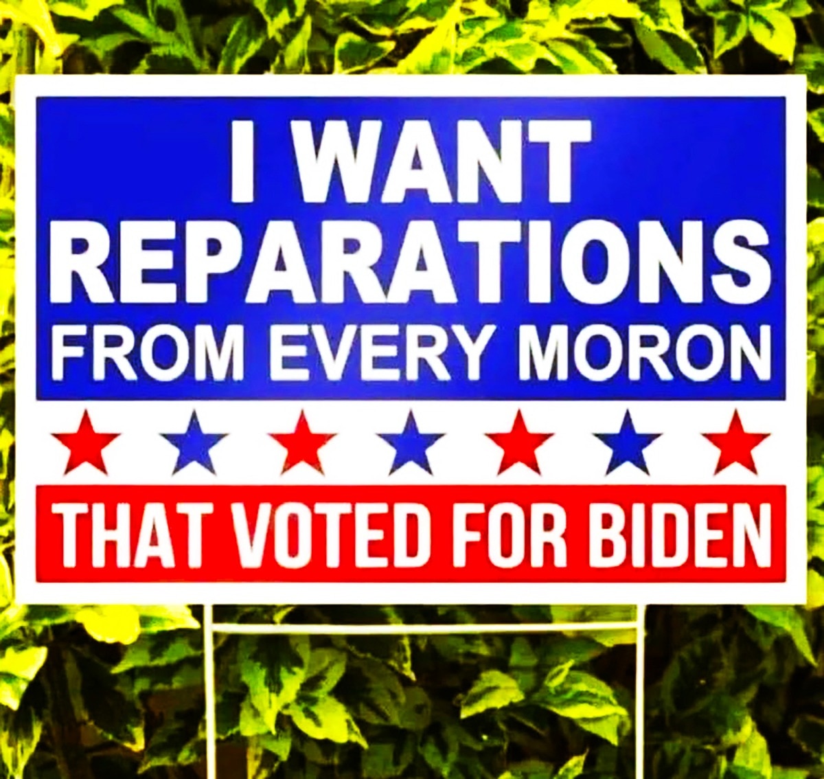 MAKES SENSE!!!😂😂😂