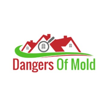 Dark spots on the wall or similar moisture stains have become mold over time, necessitating a mold test for the home.