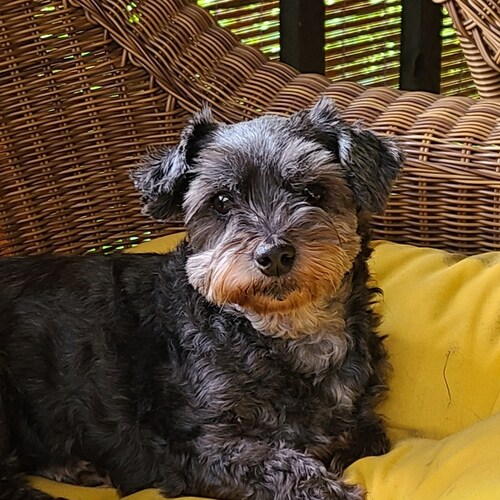 Banned from Twitter.
Forced to utilize Google. 
Proud and protective MamaBear.
Save our Children!
Fighter for our vetera...