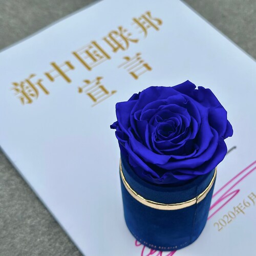 爱七哥 新中国联邦人永不为奴，跟七哥灭共………