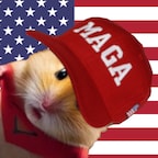 AFNZ