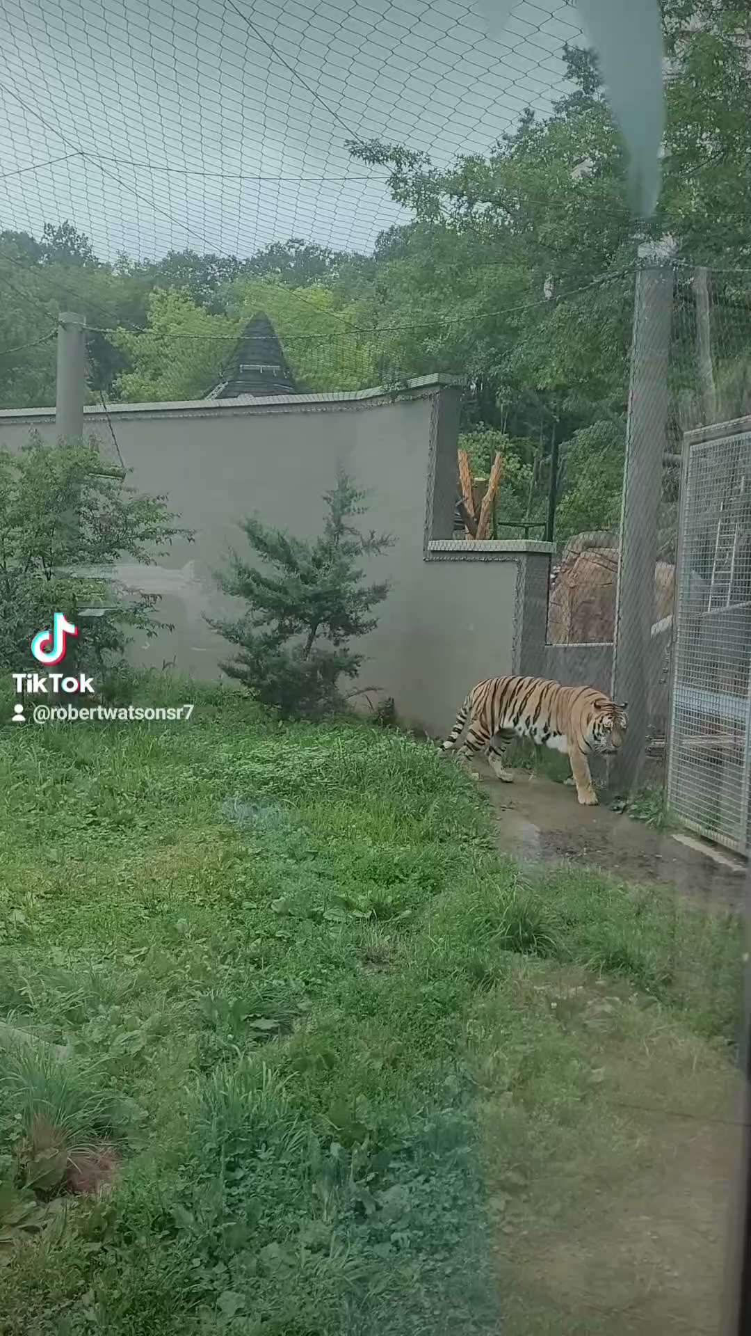 View Bainbridge twp OH's post on GETTR. Join the discussion, share your thoughts, and connect with the community.