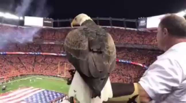 🇺🇸🦅

https://twitter.com/TheWakeninq/status/1686086758352683008