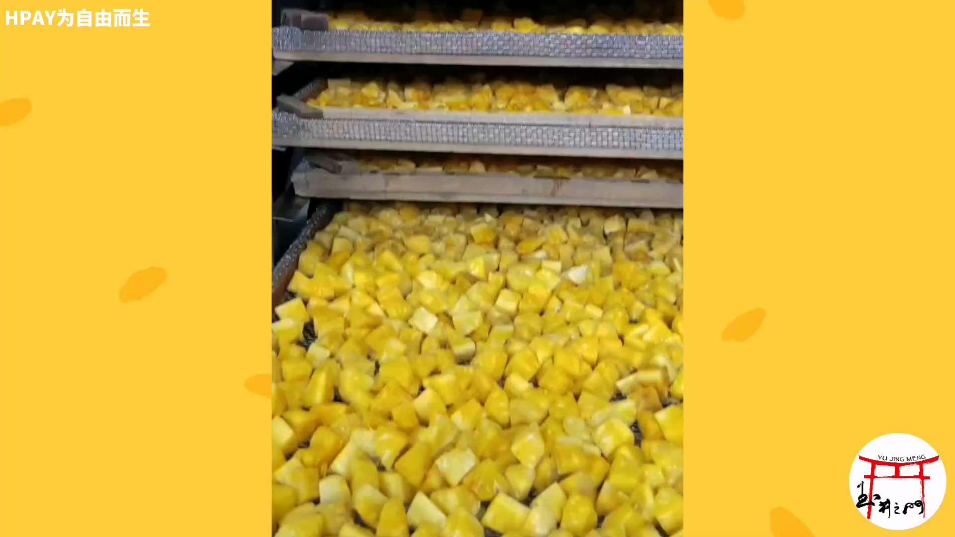 🔥🔥【HPAY为自由而生】商家分享-台湾玉井门果干系列

😘😘大家已经慢慢进入了HPAY商圈消费模式，适合全球推广的台湾玉井门成功打开HPAY商圈市场！

🔥🔥再次推出所有干果系列，HPA...