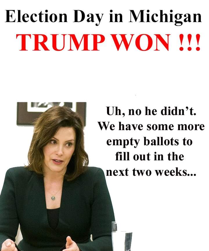 MICHIGANS STATE POLICE INVESTIGATOR'S ARE PILING UP MASSIVE AMOUNTS OF EVIDENCE OF THE FRAUD ELECTIO...