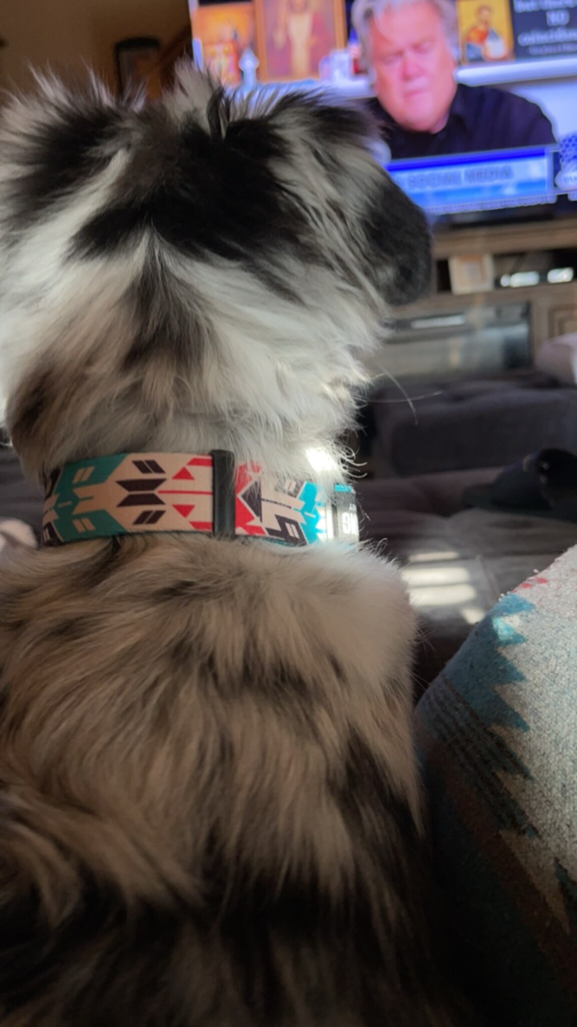 Anna ❤️’s @WarRoom  

