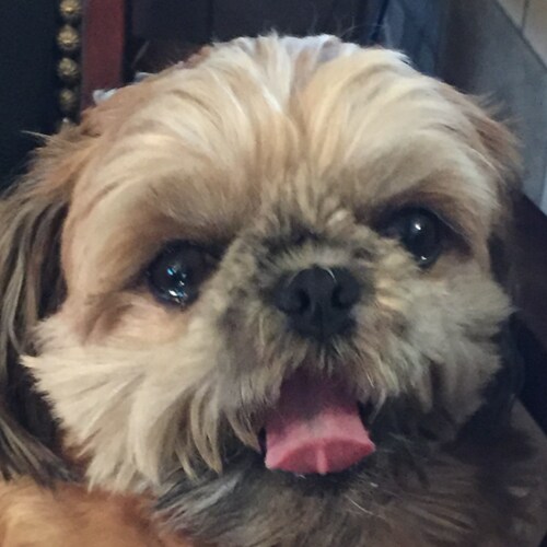 Love God and Jesus. Have a great husband and daughter. Love our dog. Love America.