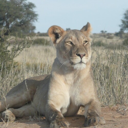 Visit Barbara_Ellison's profile on GETTR. View their posts, photos, videos, and connect with them on the social platform.