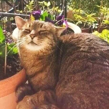 Visit val blondechick's profile on GETTR. View their posts, photos, videos, and connect with them on the social platform.