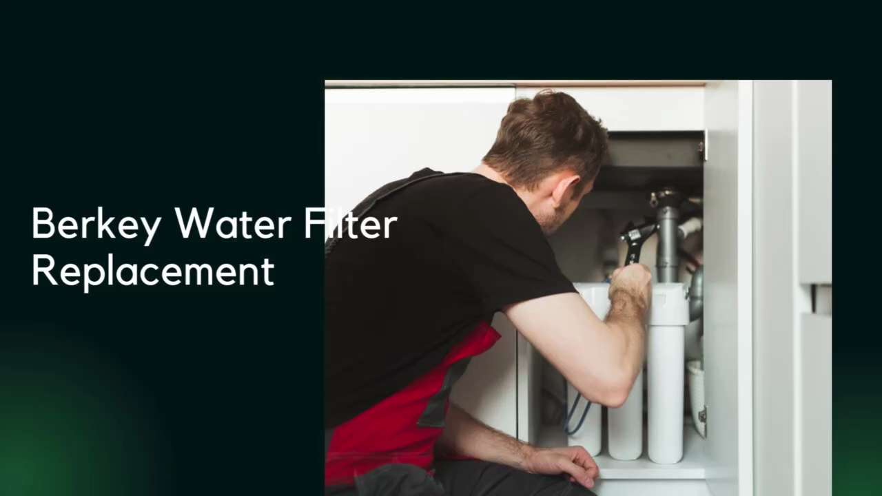 Just How Does The Berkey Water Filter System Job?

The Berkey water filter system makes use of gravitational force to cleanse 
water. Water is actually poured into the higher chamber, which consists of 
exchangeable Black Berkey purification aspects. These components make use of a combo of microfiltration as well as adsorption to remove pollutants, microorganisms, as well as contaminations from the water. If you need additional info regarding water filter, you can easily go to 
https://livehealthyberkeywaterfilters.com/collections/berkey-dealer-refurbished-water-systems website.
