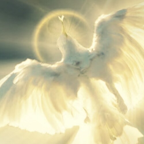 America Shall Be Saved!