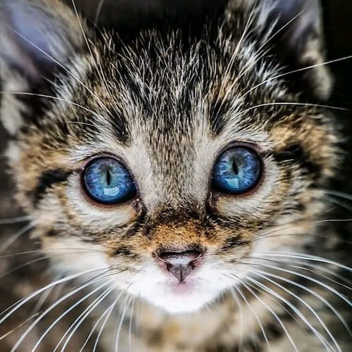 🟢Save money🟢 by using my TV service which is cheaper then sky and includes much more channels, movies and shows.  

in...