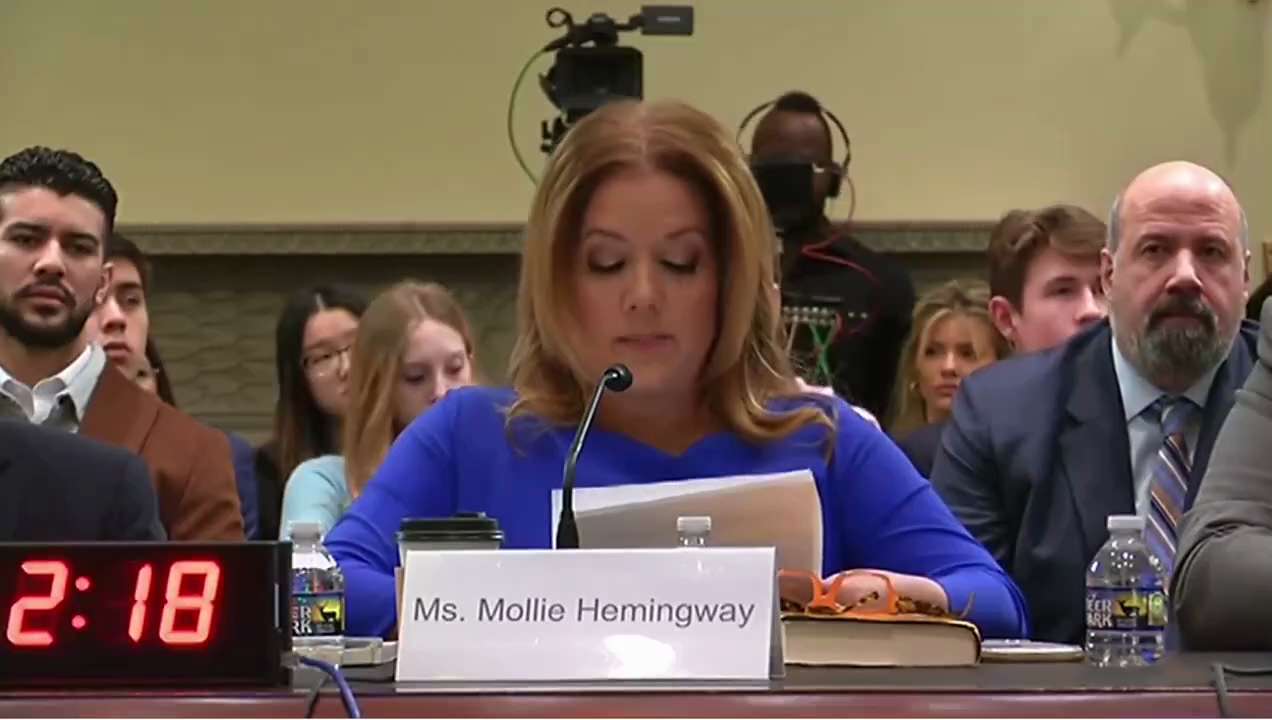 Incredible testimony by Mollie Hemingway.

She summed up everything wrong with our elections.