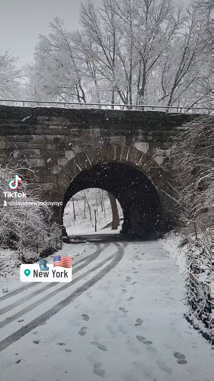 New York City Manhattan America USA Central Park #NYC #newyork #viralreels #reelsvideo #reelsviral #...