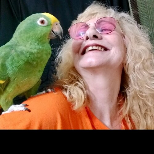 Visit Teritt's profile on GETTR. View their posts, photos, videos, and connect with them on the social platform.