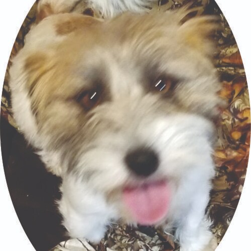 Visit jazzie's profile on GETTR. View their posts, photos, videos, and connect with them on the social platform.