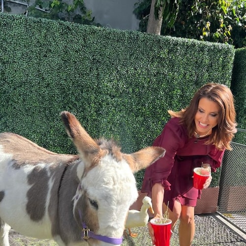 God is loving
Popular Creator