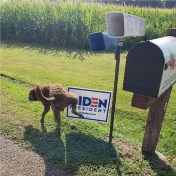 Ridiculously Ridiculous. NO PRIVATE MESSAGES PLEASE. #GabBannedMe