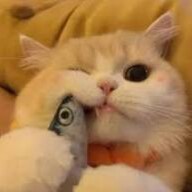 Visit marygarcia's profile on GETTR. View their posts, photos, videos, and connect with them on the social platform.