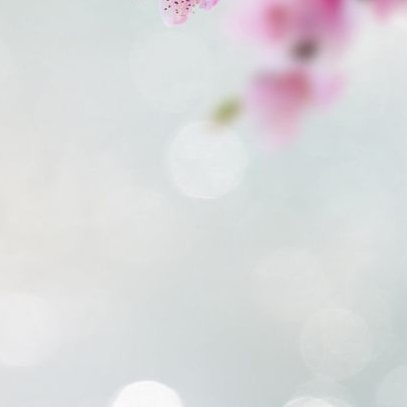 Visit deefgvxd's profile on GETTR. View their posts, photos, videos, and connect with them on the social platform.