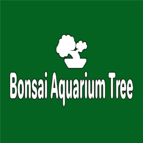 BONSAIAQUARIUMTREE | YOUR ONE-STOP SHOP FOR ALL THINGS DRIFTWOOD AQUARIUM
Discover the beauty of nature within your aquarium with BonsaiAquariumTree Store.