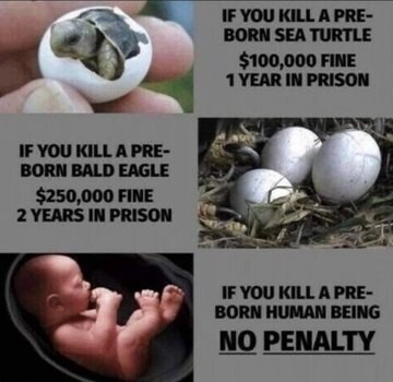 View LifeNews.com's post on GETTR. Join the discussion, share your thoughts, and connect with the community.