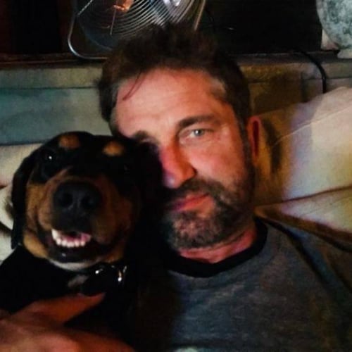 Visit GerardButler567's profile on GETTR. View their posts, photos, videos, and connect with them on the social platform.