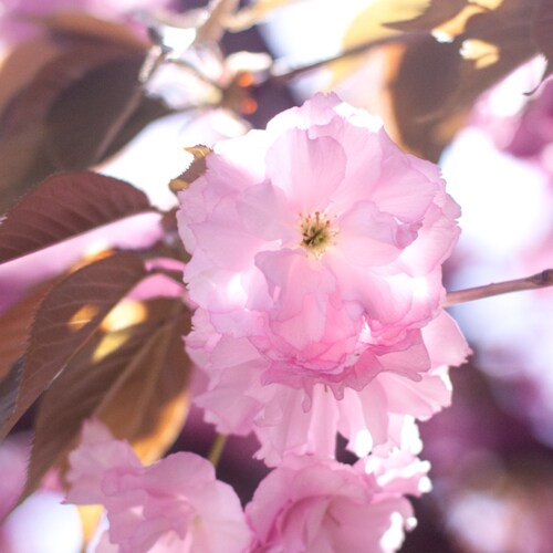 Visit helen93_0380's profile on GETTR. View their posts, photos, videos, and connect with them on the social platform.