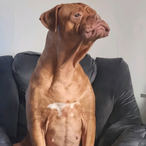 🇬🇧   MANCUNIAN S FOR TRUMP  no postcode envy  17 from day 1 WWG1WGA
Trust the plan
Manchester deplorable 🇬🇧